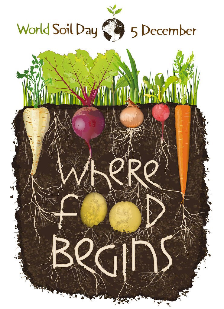 World Soil Day