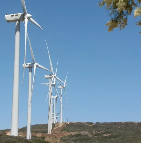 Records broken in 2025