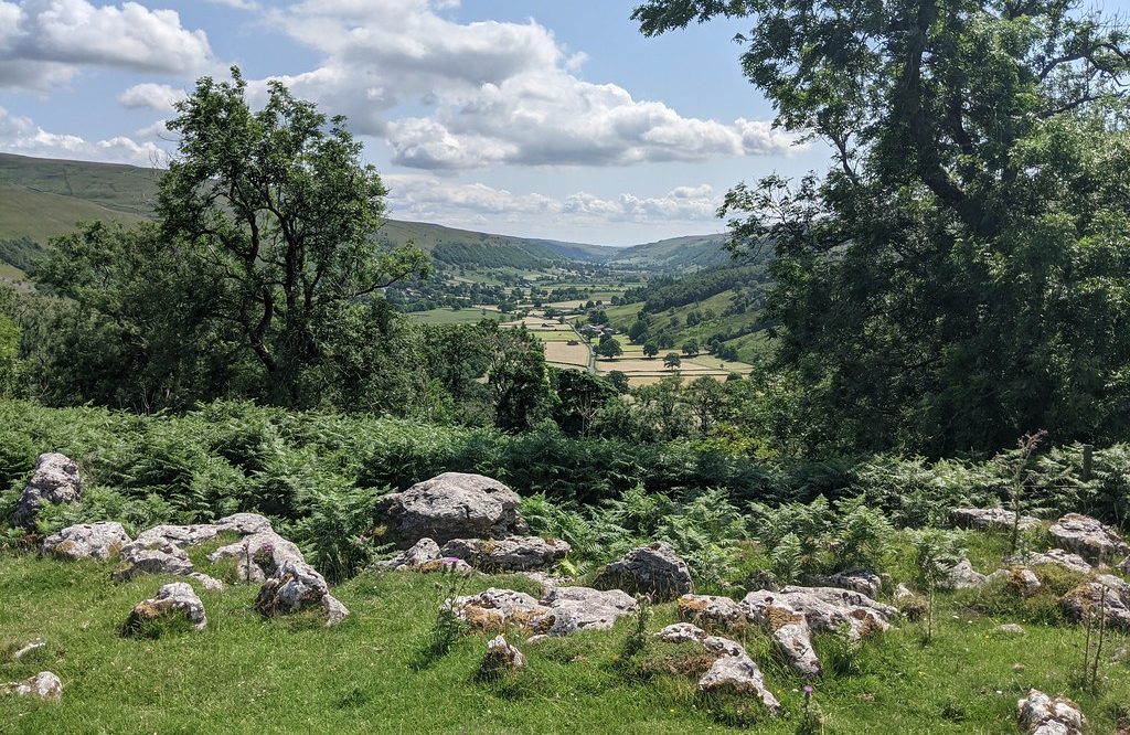 Council's woodland management proposal